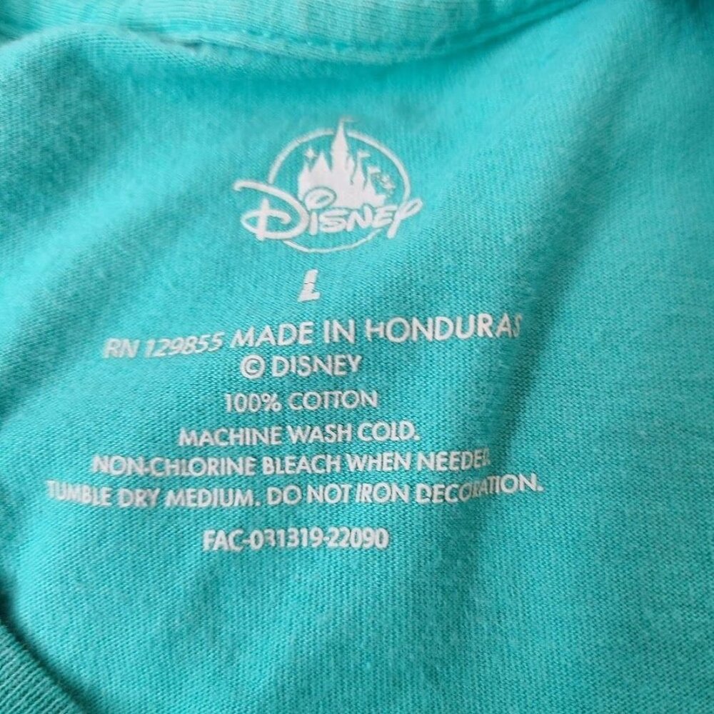 Walt Disney World Retro Stripe Logo T Shirt Teal Adult Large - Picture 4 of 11